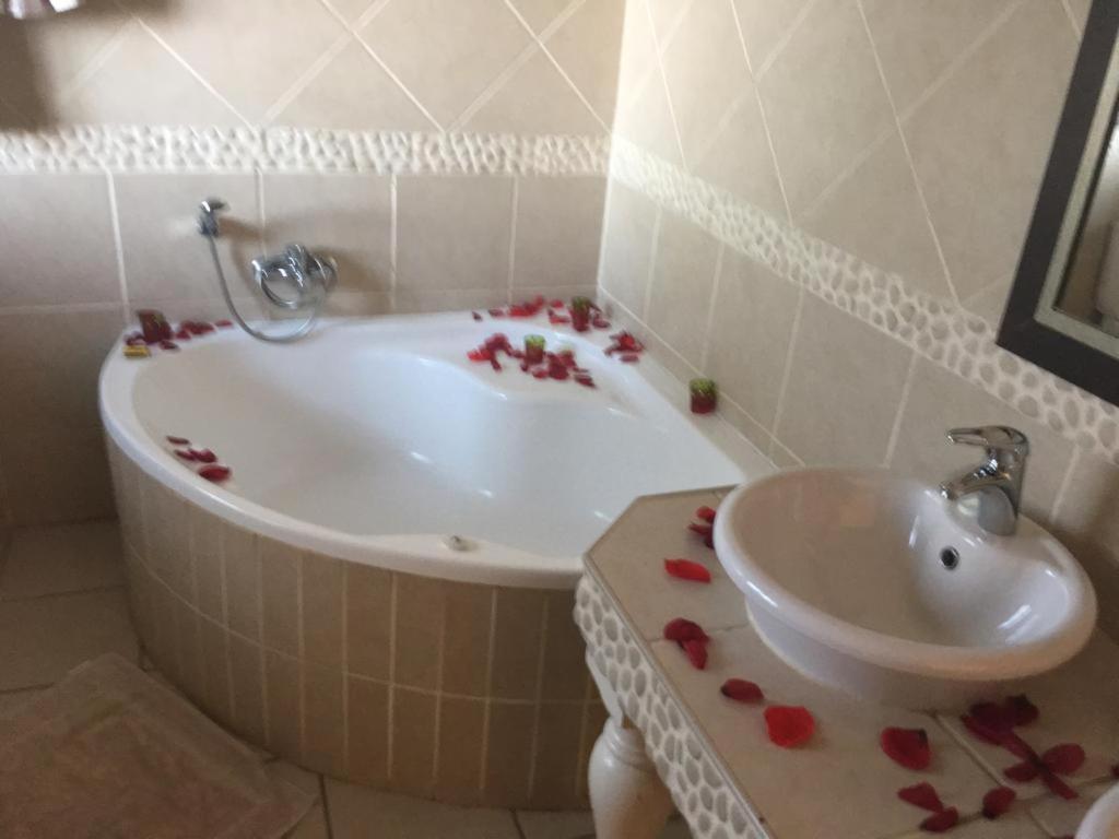 The Lazy Grape Guest Lodge & Spa Бенони Екстериор снимка
